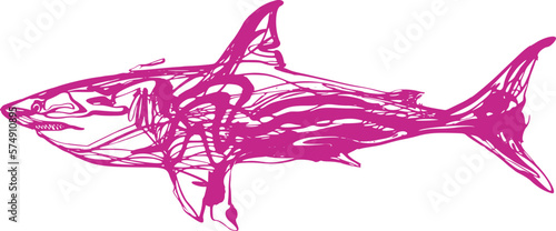 shark vector illustration