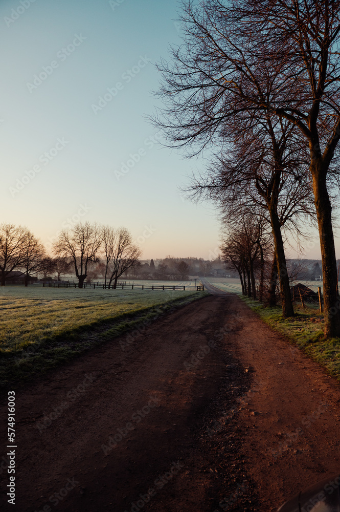 Fototapeta premium Morgenstimmung