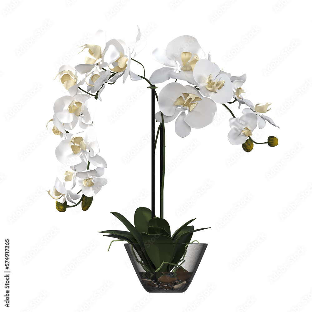 Obraz premium decorative flowers and plants for the interior, isolated on transparent background, 3D illustration, cg render