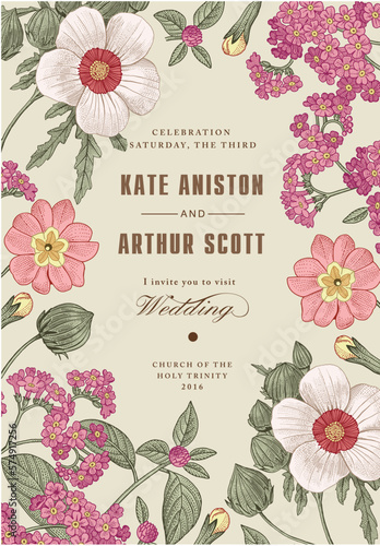 Wedding marriage invitation. Beautiful blooming flowers baroque. Vintage greeting card Frame Drawing engraving. Primula, hibiscus, heliotrope isolated floral. Wallpaper background vector Illustration