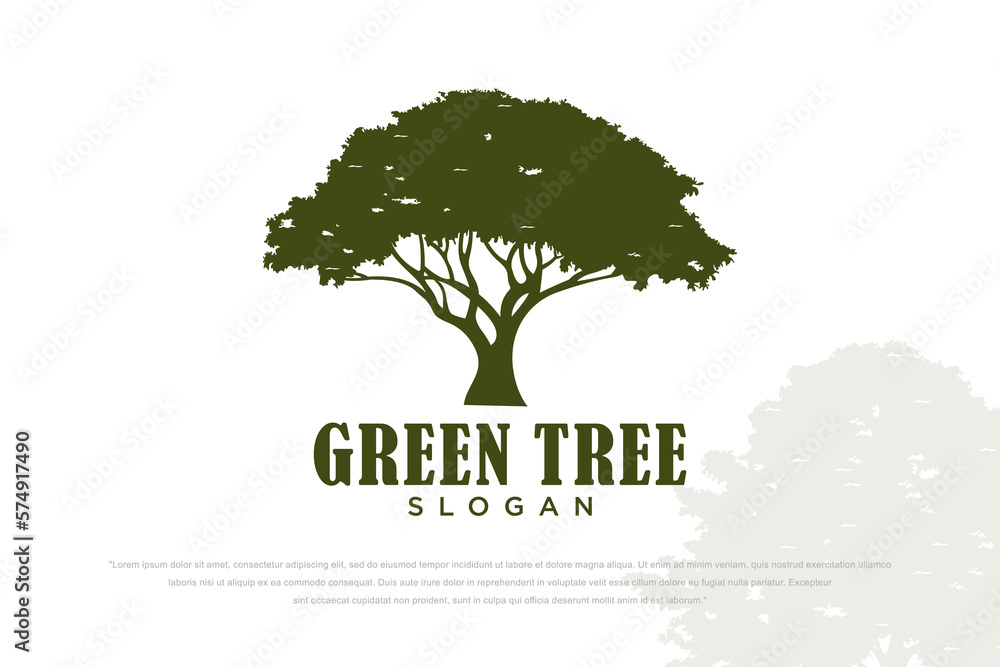 Fototapeta premium Tree vector icon. Nature trees vector illustration logo design.
