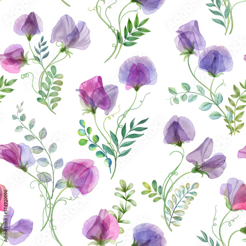 Sweet pea and spring leaves seamless pattern isolated on white. Watercolor botanical illustration. Romantic transparent flowers. Spring floral bouquets