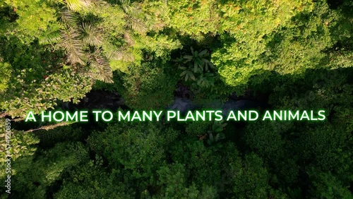 Maintain the Water Cycle Animation Text For A Motivational Video Title Over The Tropical Rainforest. - aerial, graphic photo