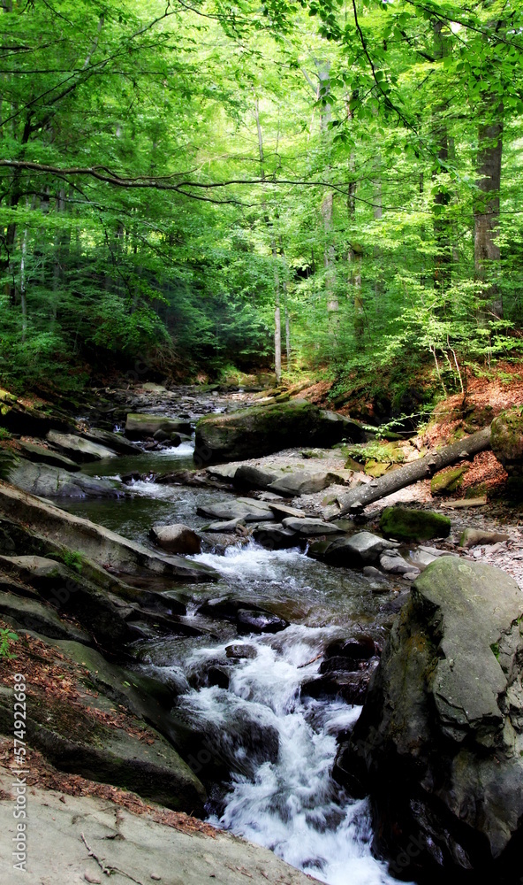 A calm stream flows around rocks and boulders in a dense forest of wild and picturesque Carpathians of Ukraine A calm stream flows around rocks and boulders in a dense forest of wild and picturesque Carpathians of Ukraine