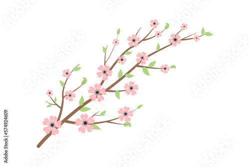 Blooming branch of sakura, cherry or apple tree on white background. Botanical element. Spring buds, blossom and flowers. Design element for greeting cards, textiles. Spring vector illustration © Марина Волкова