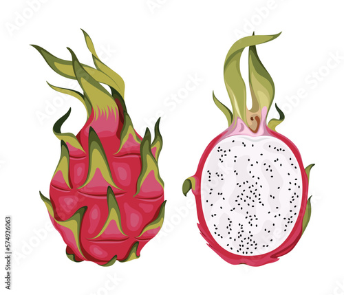 dragonfruit fruit dragon food pink red tropical fresh vector illustration ripe healthy sweet nature cactus organic nutrition