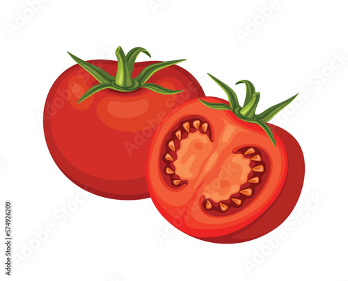 tomato fruit food vegetable red fresh ripe healthy juicy  tomatoes vector organic illustration freshness salad agriculture vegetarian health nature vegetables