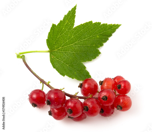 Close-up of red currant isolated on white background. Photo of a fruit for easy selection and creation of compositions with other fruits.