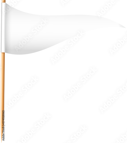 Toothpick flags. Wooden toothpicks with white paper flag. Location mark, map pointer.