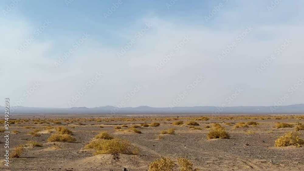 Broll driving scene scenic landscape of desert in day time in Iran
Wild animal plant vegetable grass dry bushes foliage grown in hot climate to fix the soil earth from flood important cover to camels Broll driving scene scenic landscape of desert in day time in Iran
Wild animal plant vegetable grass dry bushes foliage grown in hot climate to fix the soil earth from flood important cover to camels