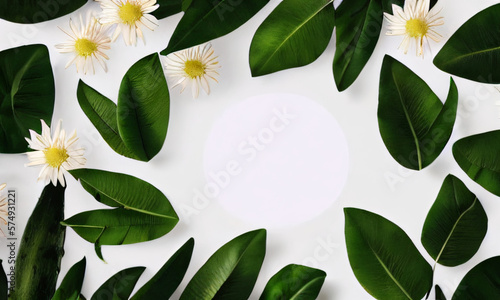 Cosmetic product presentation ad concept on white round template podium mockup for natural organic green eco forest fresh leaves nature flat lay background, trendy stylish minimalist Flatlay backdrop. © Cenk