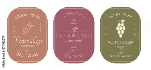 Clean wine logo. Minimalist label. Badge template for Riesling, Pinot or Chardonnay. Grapevine leaf. Modern design. Grape drink. Alcohol beverage. Vector recent line winery cards set