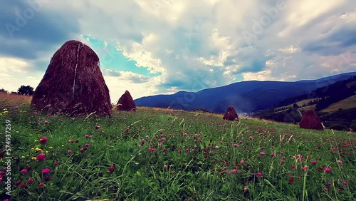 summer mountain landscape slow motion