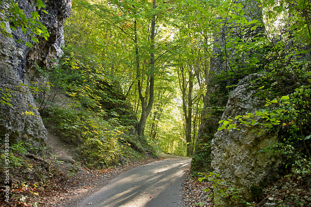 Autumn landscape with rock and road in an autumn forest Autumn landscape with rock and road in an autumn forest