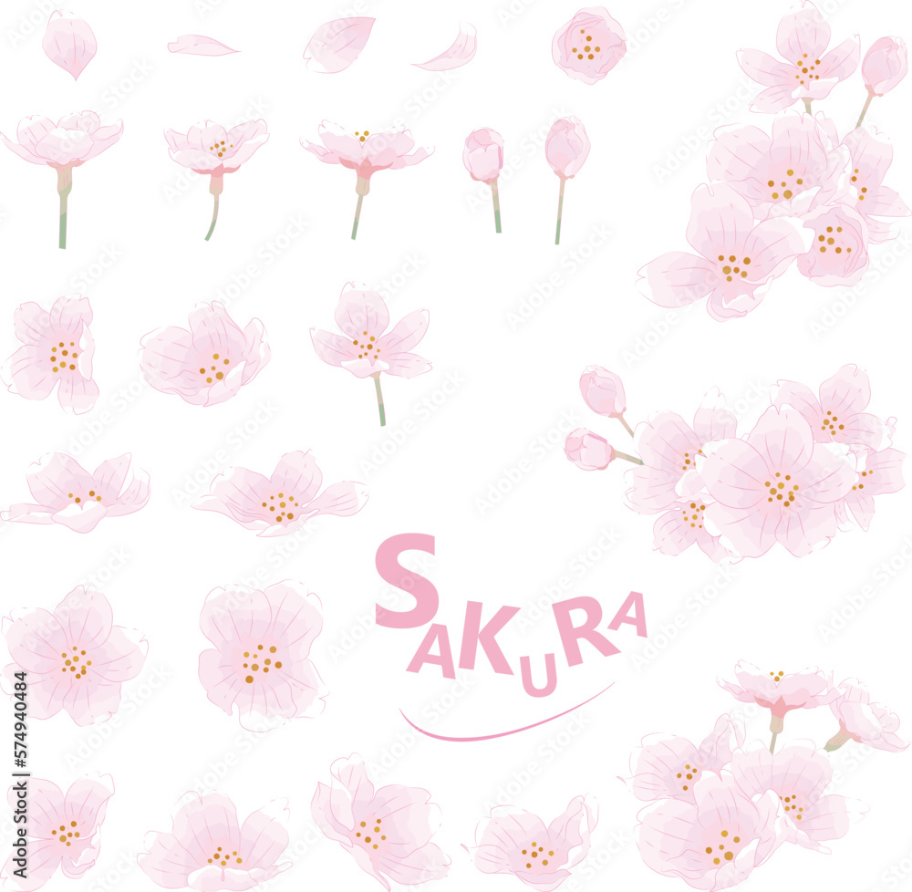 桜の花や花びらのセット