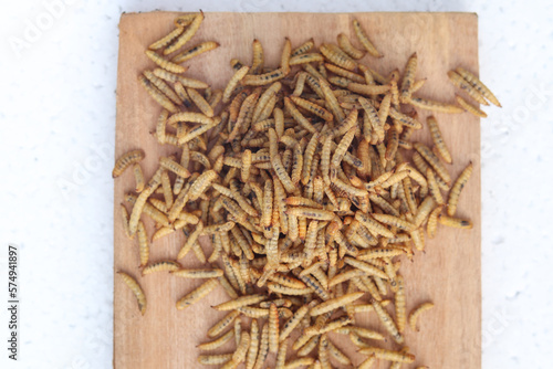 Concept of Dried black soldier fly maggots arranged on a wooden base after being processed from live maggots photo