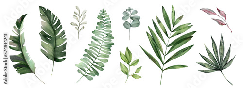 Botanic tropic composition. Exotic modern design.  Herbal illustration.  Set watercolor leaves - eucalyptus  banana palm  fern.