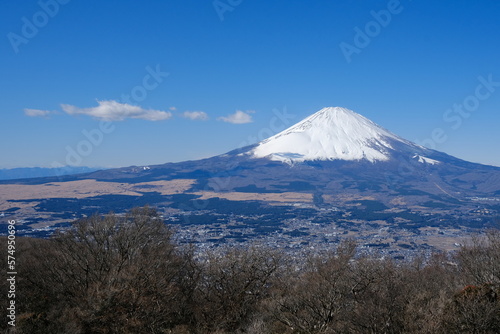 金時山山頂から見る富士山