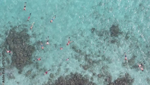 Top down aerial of tourists Snorkeling in shallow turquoise ocean water in Cayman islands photo