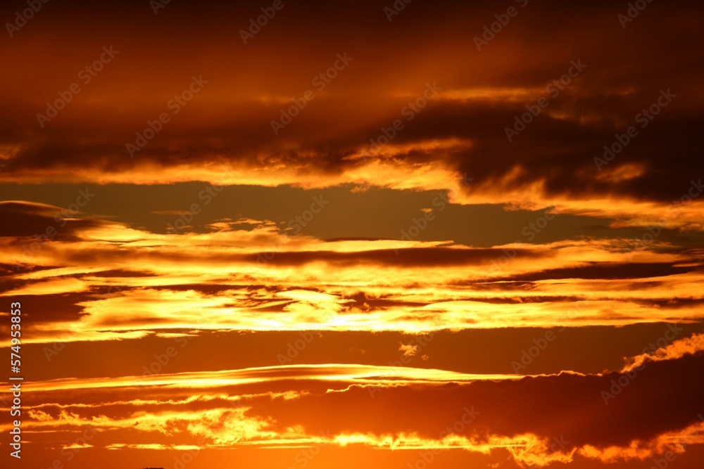 Fototapeta premium sunset over the sea