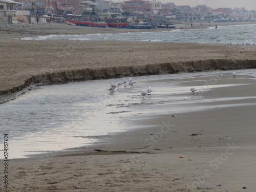 KODAK Digital Still Camera