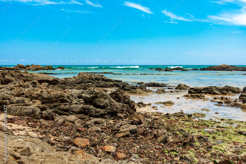 Rocky area with natural pools, algae and reefs at Itapoa beach in Salvador city in Bahia