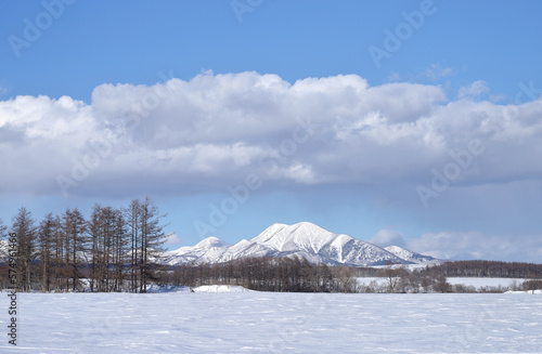 Wallpaper Mural 雪原と防風林の向こうに見える武佐岳 Torontodigital.ca