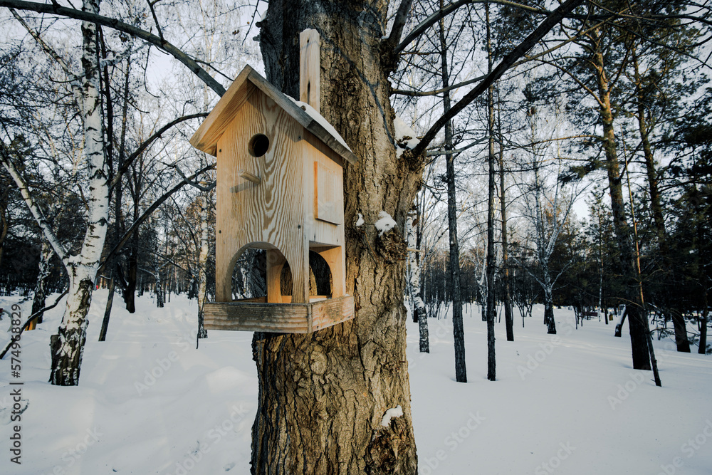 Bird birdhouse on tree in winter public park. Bird birdhouse on tree in winter public park.