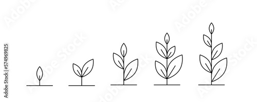 Plant icons collection. Seed line icons. Plant Sprout Icon collection.