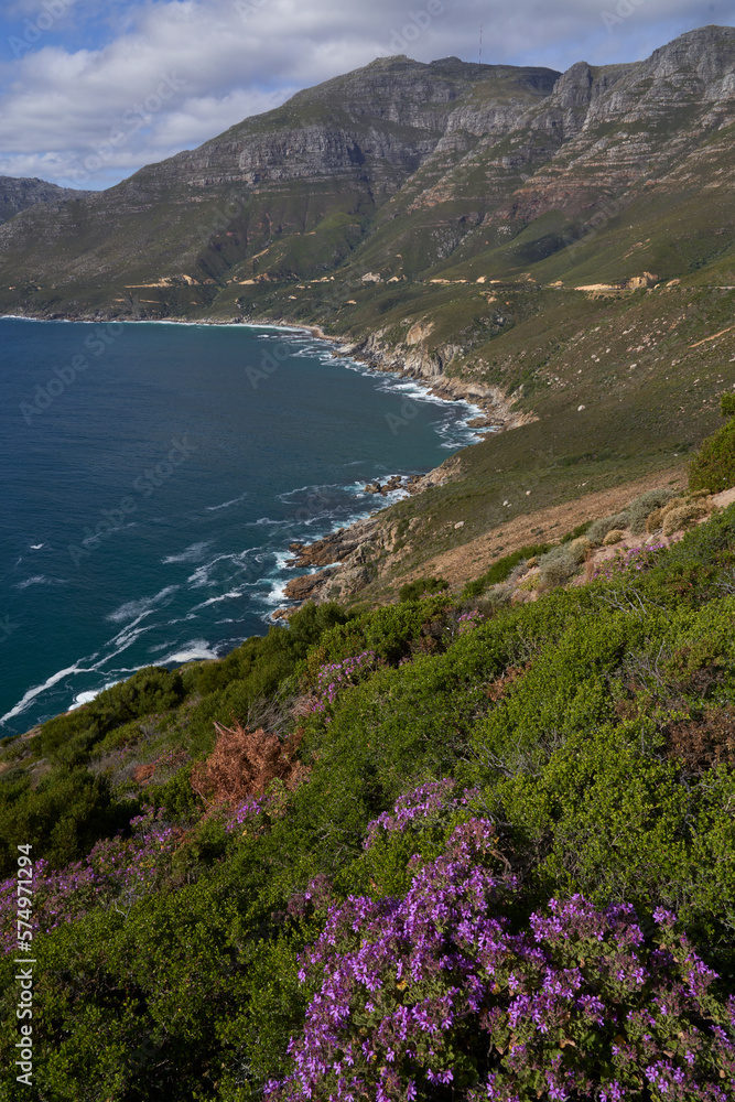 Fototapeta premium Chapmans Peak Drive along the coast of the Cape Peninsular in South Africa