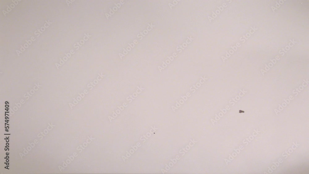 16MM Film Effect Video Animation 16MM Film Effect Video Animation