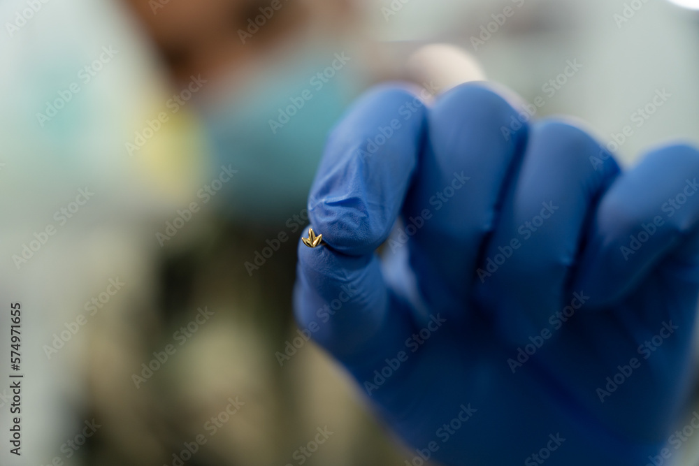 Gold jewel in the shape of a flower held by a hand with blue latex gloves. Piercing jewel. In the background the unfocused professional.