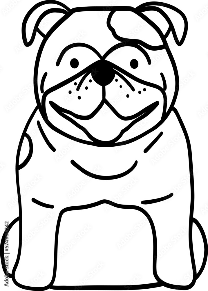 Doodle Bulldog