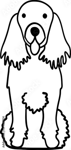Doodle English Cocker Spaniel dog