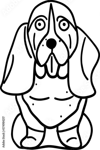 Doodle Basset Hound dog