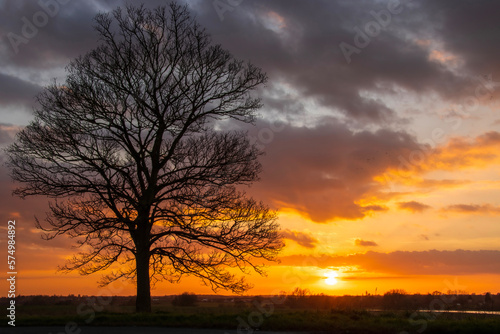 Tree silhouetted against an orange sky with dramatic clouds