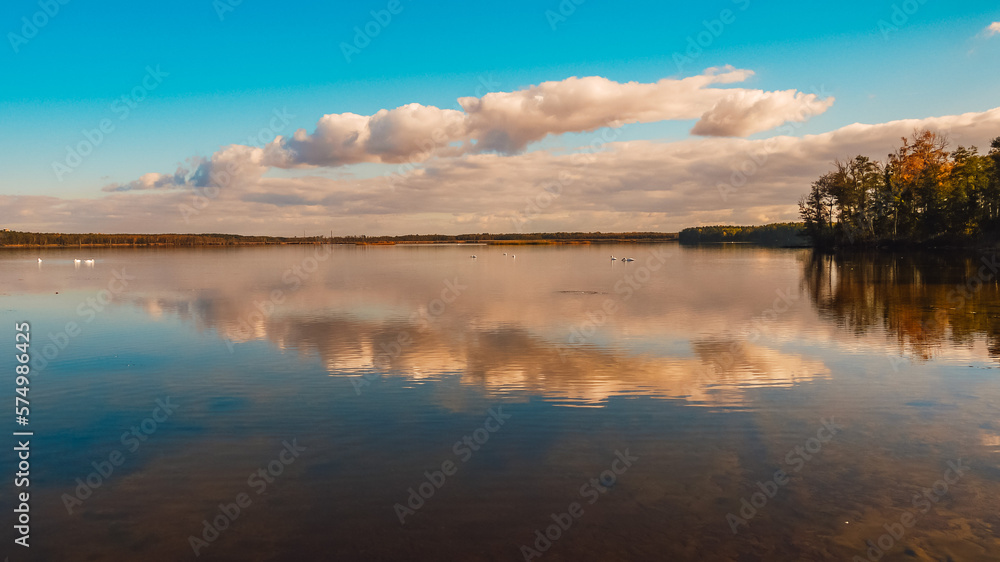 natural landscape view, lake with swans