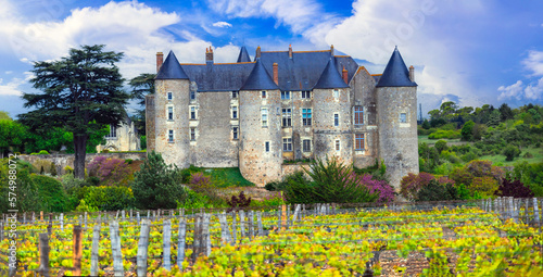 medieval French castles of Loire valley. Chateau de Luynes surrounded by scenic vineyards - heritage of France photo