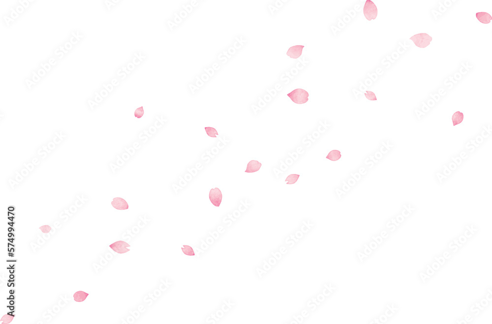 桜の花びらが舞っているイラスト　手描き水彩風