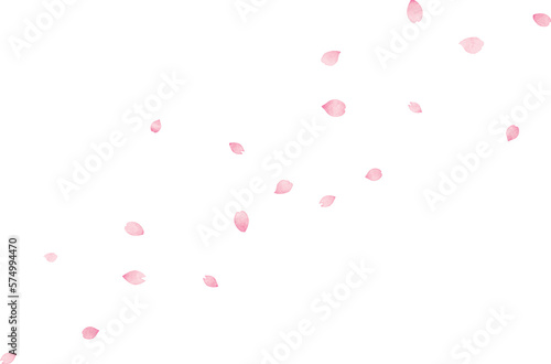 桜の花びらが舞っているイラスト　手描き水彩風