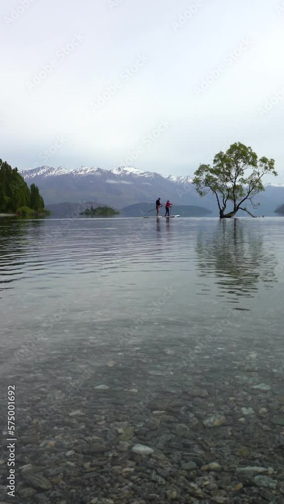 Morning view of couple doing Standup paddle-boarding on the lake (SUP). Morning view of couple doing Standup paddle-boarding on the lake (SUP).