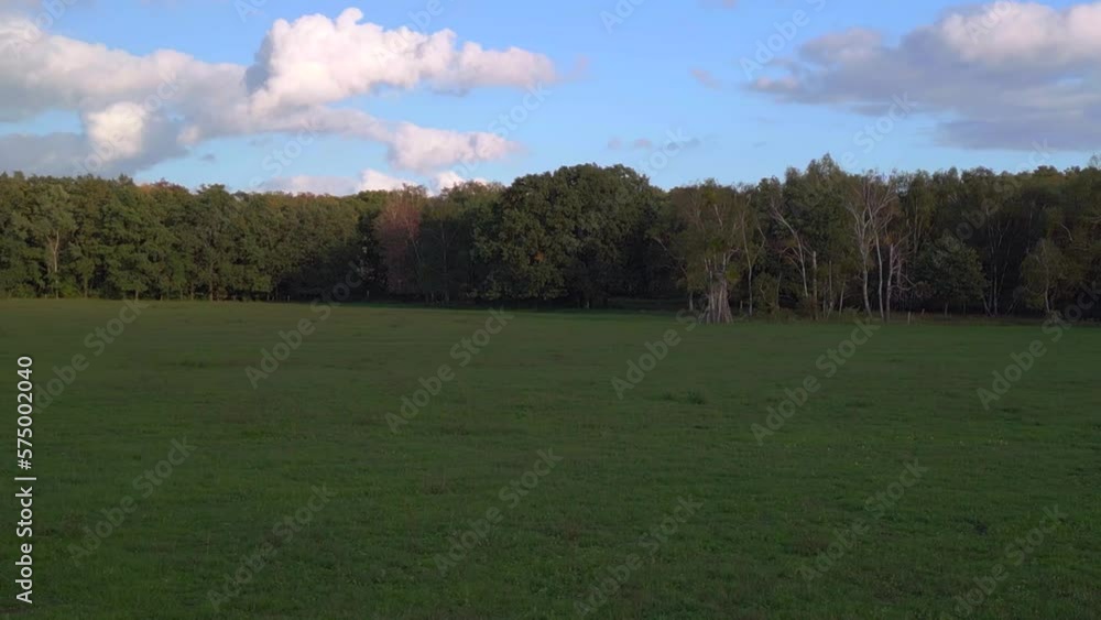 green meadow at the edge of forest in germany. Great aerial view flight drone green meadow at the edge of forest in germany. Great aerial view flight drone