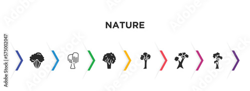 nature filled icons with infographic template. glyph icons such as shadbush tree, black willow tree, black walnut tree, pin cherry scarlet oak shagbark hickory vector.