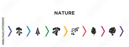 nature filled icons with infographic template. glyph icons such as black locust tree, american larch tree, pignut hickory tree, black cherry tulip sycamore vector.