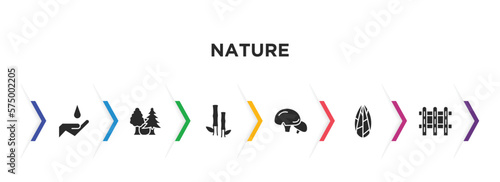 nature filled icons with infographic template. glyph icons such as conservation, tree with white foliage, bamboo plant from japan, mushroom with spots, flower seeds, picket fence vector.