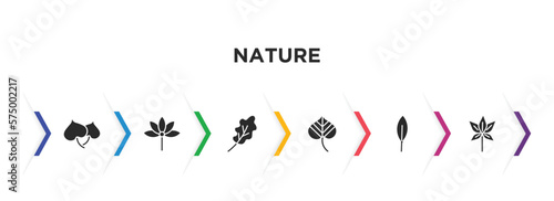 nature filled icons with infographic template. glyph icons such as cercis leaf, palmatelly, oak leaf, linden leaf, magnolia chestnut vector.