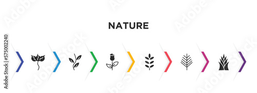 nature filled icons with infographic template. glyph icons such as cuspicate, pinnation, roses, acacia, yew leaf, yucca vector.