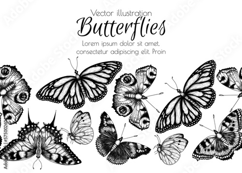 Seamless horizontal pattern insects. Monarch butterfly, hive butterfly, peacock butterfly, butterfly swallowtail, pieridae, butterflies admiral in engraving style