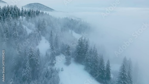 Winter snow lanscape forest wood trees mountain peak nature