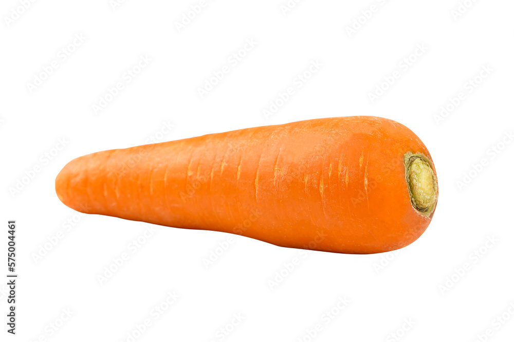 Fresh organic carrot Fresh organic carrot